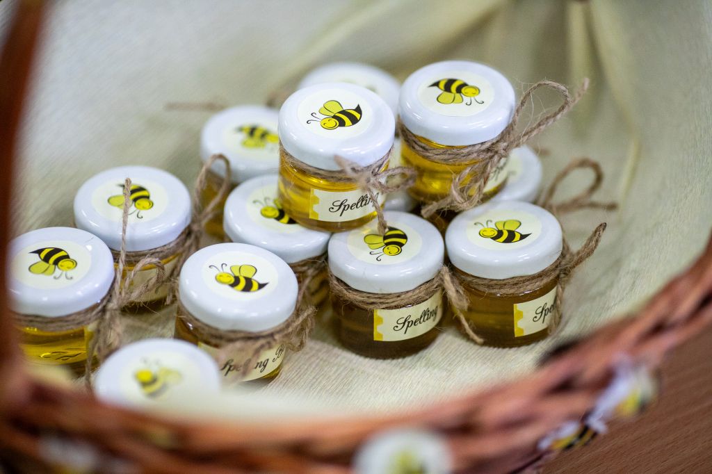 Участие в Националното състезание по правопис на английски език "Spelling Bee Junior" 8